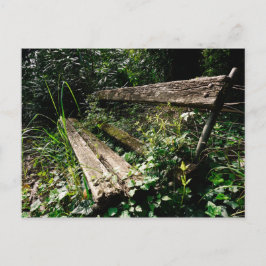 Blijf rustig briefkaart