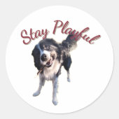 Blijf Speelse Hond Sticker (Voorkant)