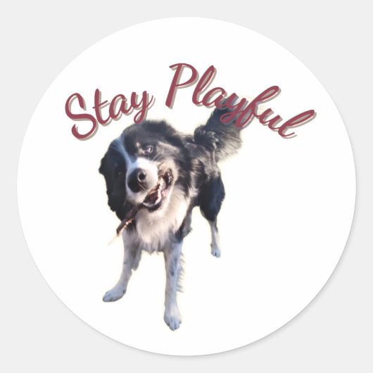 Blijf Speelse Hond Sticker (Voorkant)