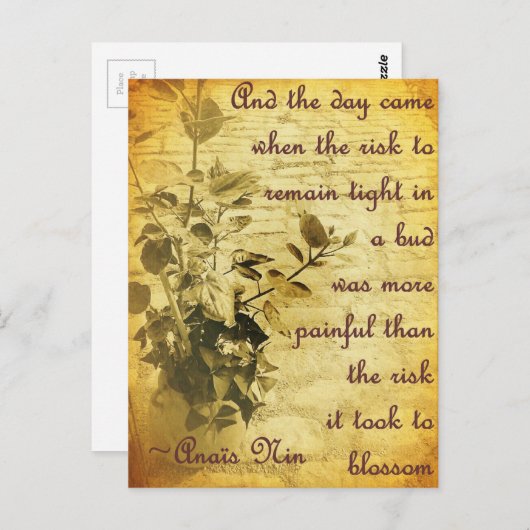 Blijf strak in de knop briefkaart (Voorkant / Achterkant)