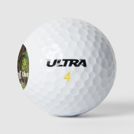 Blijf uit de problemen golfballen (Logo)