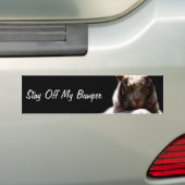 Blijf Van Mijn Bumper Tijger Bumpersticker (Op auto)
