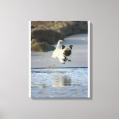 Blijgebaar Puggeltje dat langs de Oceaan springt Canvas Afdruk (Voorkant)