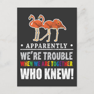 Blijkbaar zijn we Trouble Flamingo Zoo Animal Briefkaart