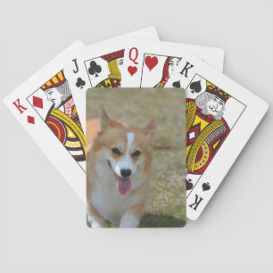 Blijke Corgi Speelkaarten
