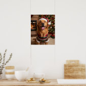 Blijke Goud Retriever Hond in Gezellige Trui Custo Poster (Keuken)