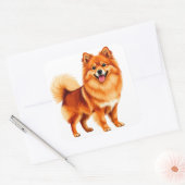 Blijke Pomeranian hond Vierkante Sticker (Envelop)