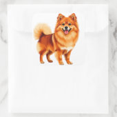 Blijke Pomeranian hond Vierkante Sticker (Tas)