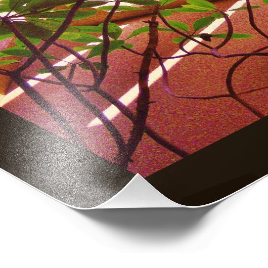 Blijvend Plant Foto Afdruk (Hoek)