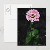 Blijvende depressie briefkaart (Voorkant / Achterkant)