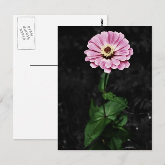 Blijvende depressie briefkaart (Voorkant / Achterkant)