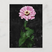 Blijvende depressie briefkaart (Voorkant)