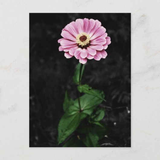 Blijvende depressie briefkaart (Voorkant)