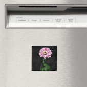 Blijvende depressie magneet (Insitu (Vaatwasser))