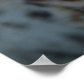 Blik op de Cheetah Poster (Hoek)