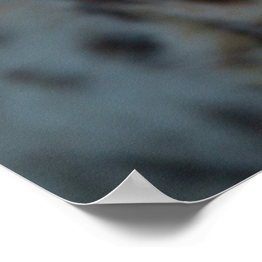 Blik op de Cheetah Poster (Hoek)