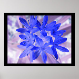 Blik van de sneeuwschokkende blauwe afdruk poster