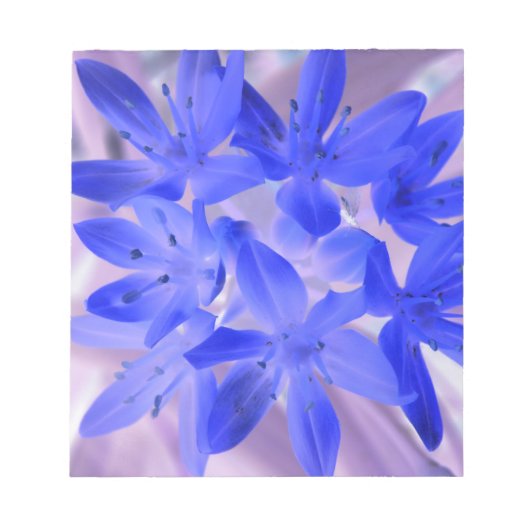 Blik van de Sneeuwschokkende blauwe laptop Notitieblok (Voorkant)