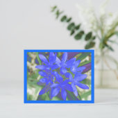 Blik van het blauw Briefkaart met sneeuwvloed (Staand voorkant)