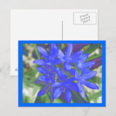 Blik van het blauw Briefkaart met sneeuwvloed (Voorkant / Achterkant)