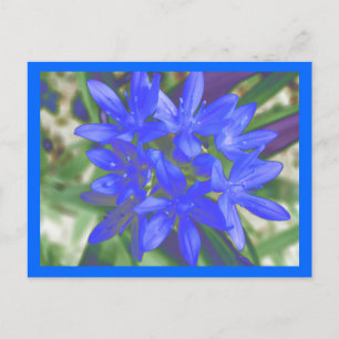 Blik van het blauw Briefkaart met sneeuwvloed