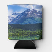 * BLIKJESKOELER (Achterkant)