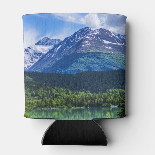 * BLIKJESKOELER (Achterkant)