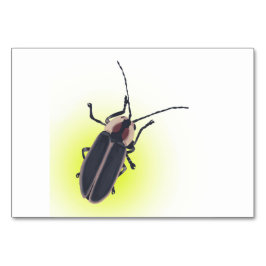 Bliksem Bug, Firefly, Insect lezing Flashcards Kaart