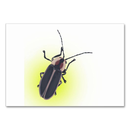 Bliksem Bug, Firefly, Insect lezing Flashcards Kaart (Voorkant)