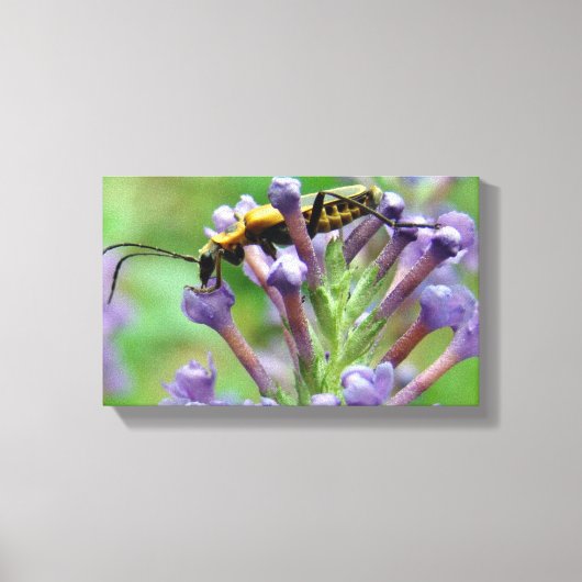 Bliksem! Canvas Afdruk (Voorkant)