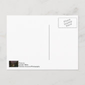 Bliksem over Chicago Briefkaart (Achterkant)