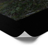 Bliksem slaat een boom aan poster (Hoek)