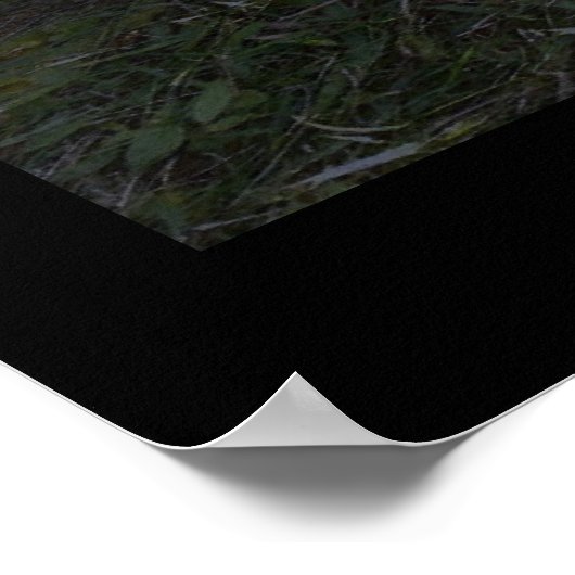 Bliksem slaat een boom aan poster (Hoek)