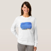 Bliksem treft de Wildcat Hills bij T-shirt (Voorkant volledig)