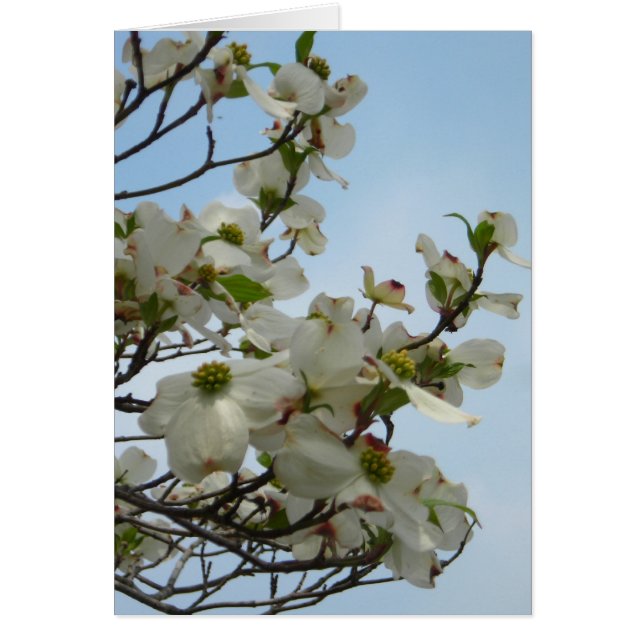 Bliksemhout (Voorkant)