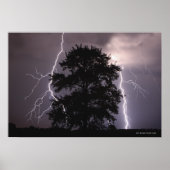 blikseminslag in de hemel achter een boom poster (Voorkant)