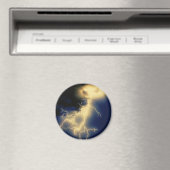 blikseminslagen magneet (Insitu (Vaatwasser))