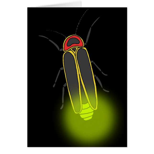 bliksemschicht verlicht (Voorkant)