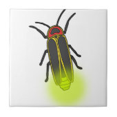 bliksemschicht verlicht tegeltje (Voorkant)