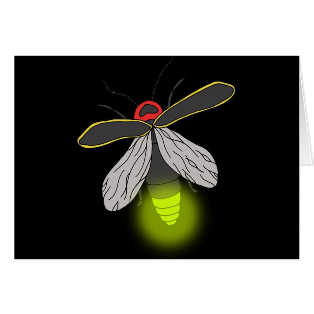 bliksemschicht vliegverlichting (Voorkant Horizontaal)