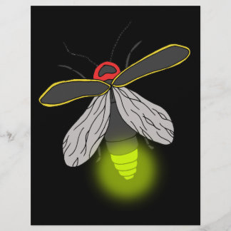 bliksemschicht vliegverlichting