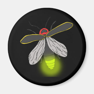 bliksemschicht vliegverlichting magneet