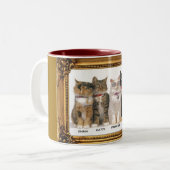 BLIND ALS KAT; TWEEKLEURIGE KOFFIEMOK (Voorkant links)