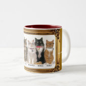 BLIND ALS KAT; TWEEKLEURIGE KOFFIEMOK (Voorkant rechts)