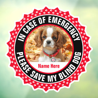 Blind Dog Safety Alert First Responder Fotonaam Raamsticker
