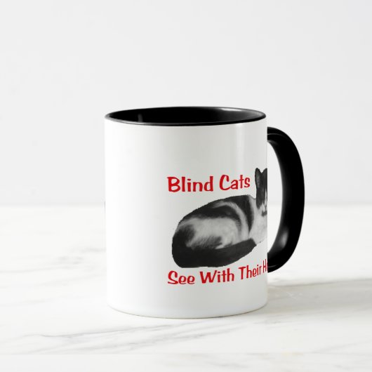 Blind kat-Mok Mok (Voorkant rechts)