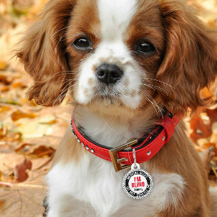 Blind Pet Medical Alert Custom Naam Zwart Rood Huisdierpenning