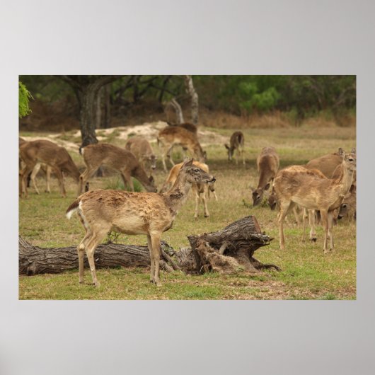 Blind Poster (Voorkant)