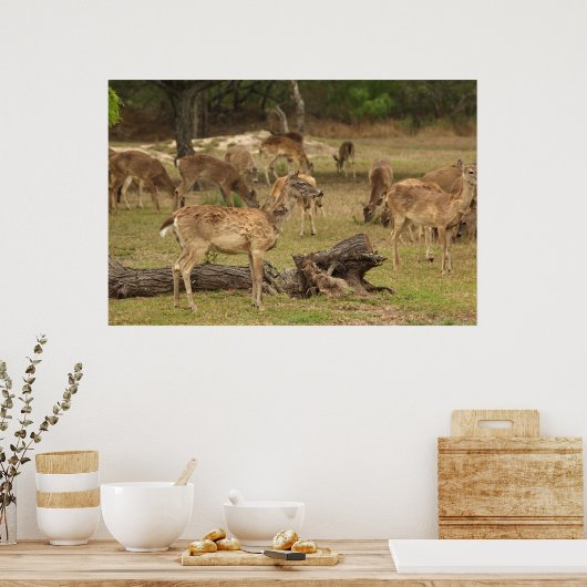 Blind Poster (Keuken)