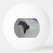 blindbal pingpongbal (Voorkant)